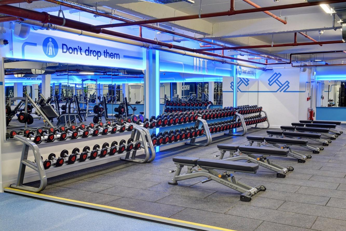 Free Weights