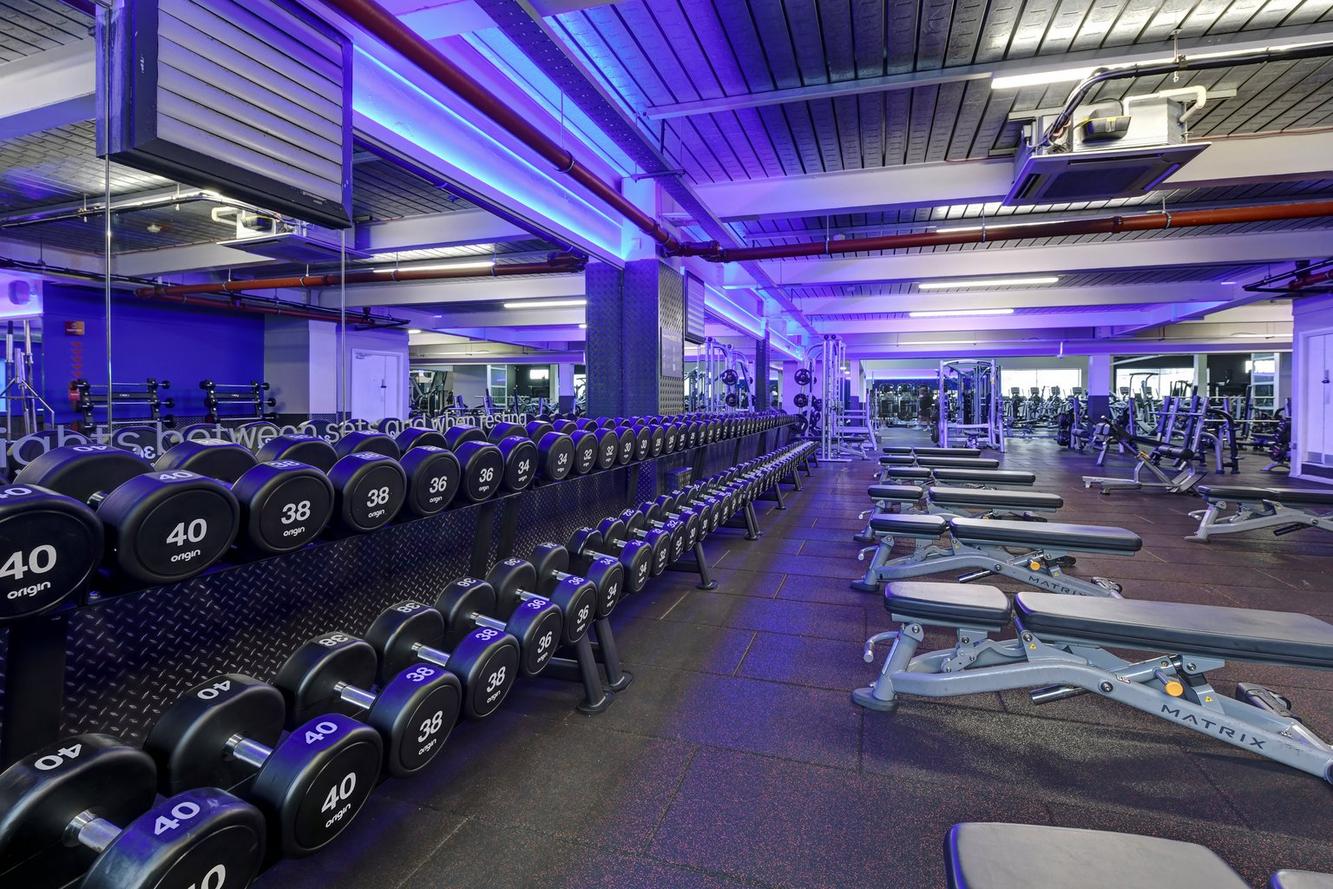 Free Weights Area