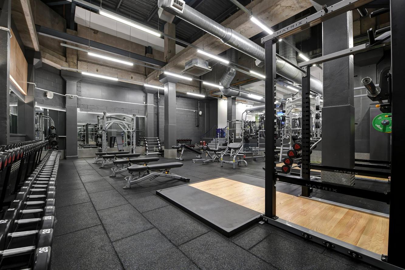 Free Weights Area