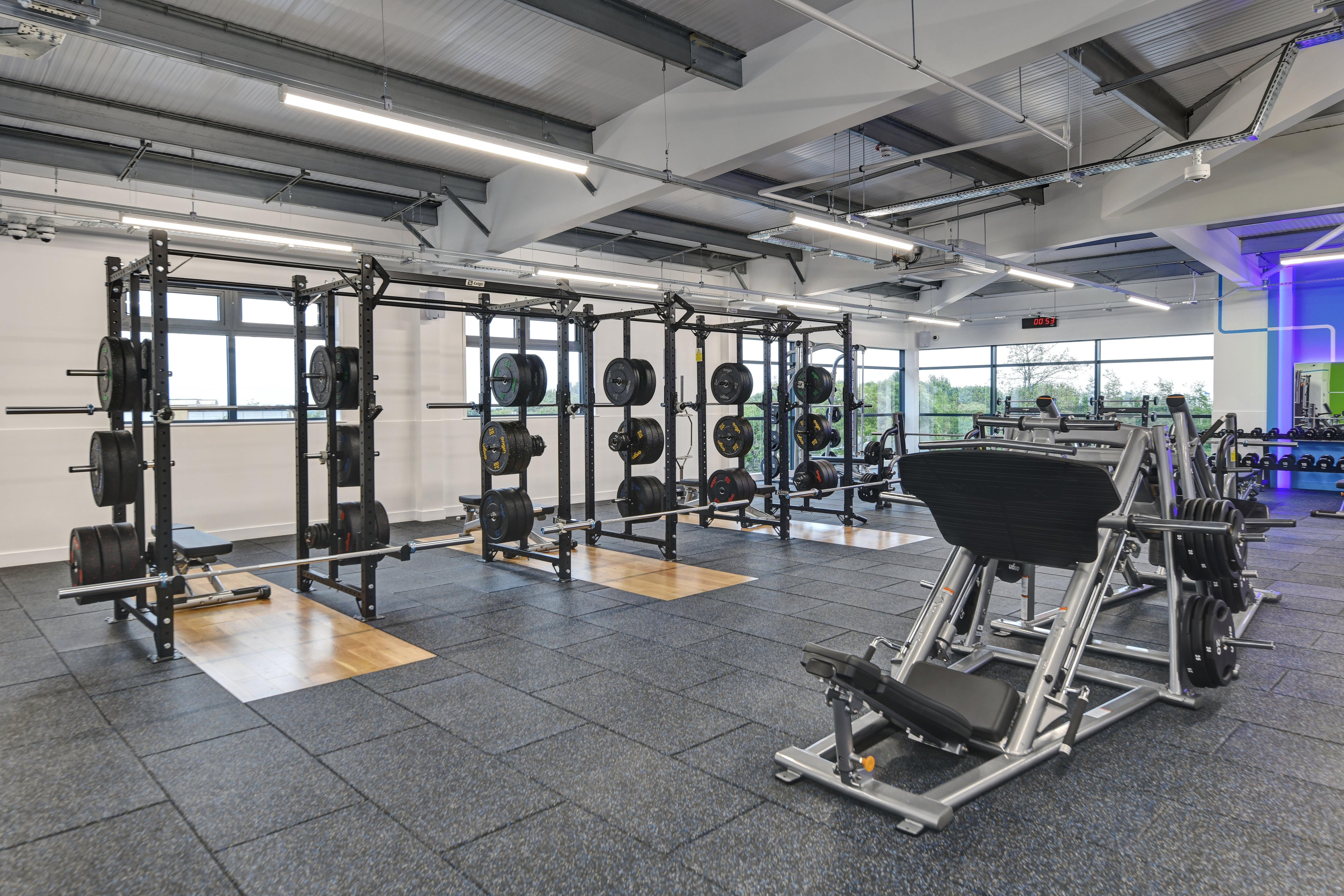 Free Weight Area
