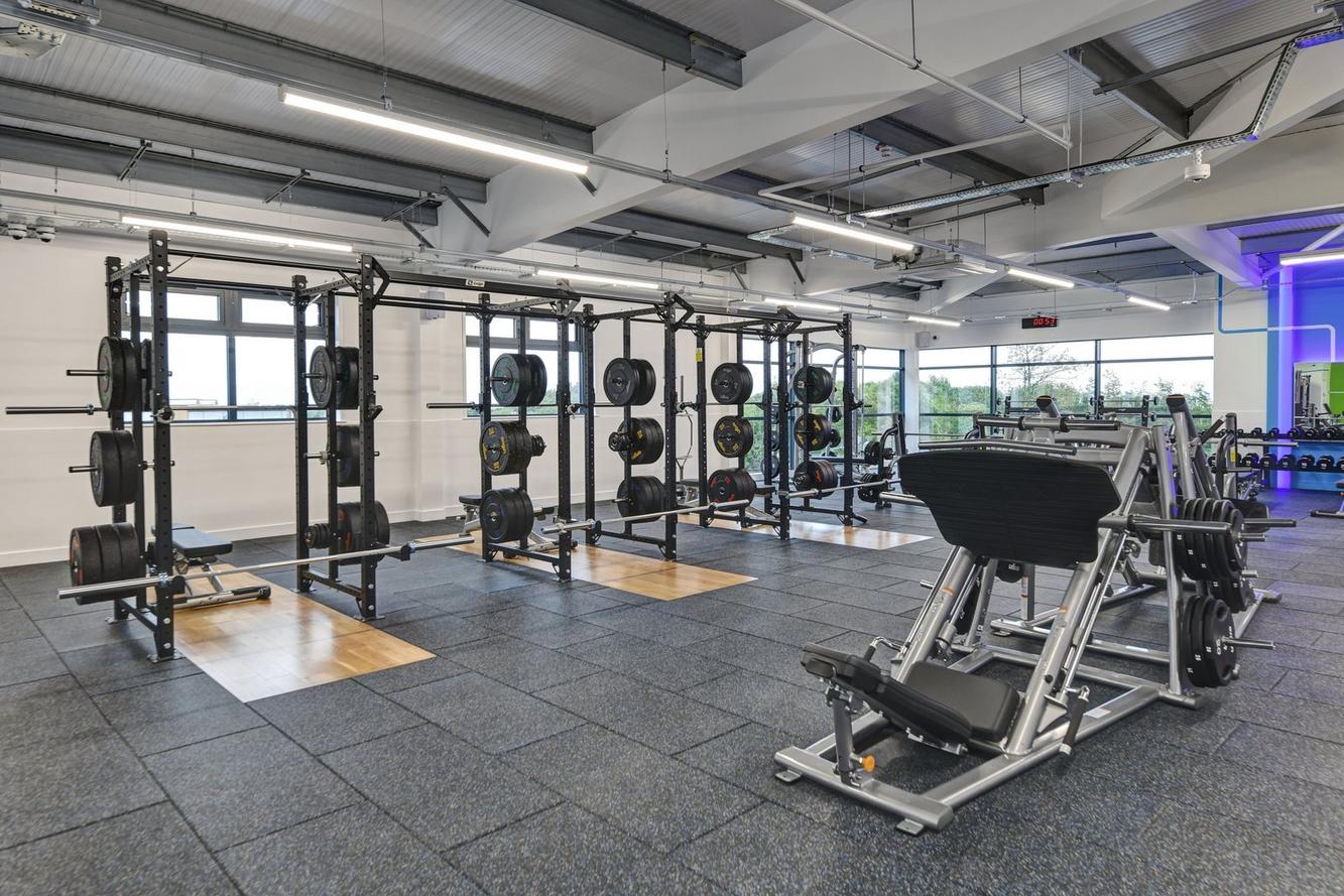 Free Weight Area