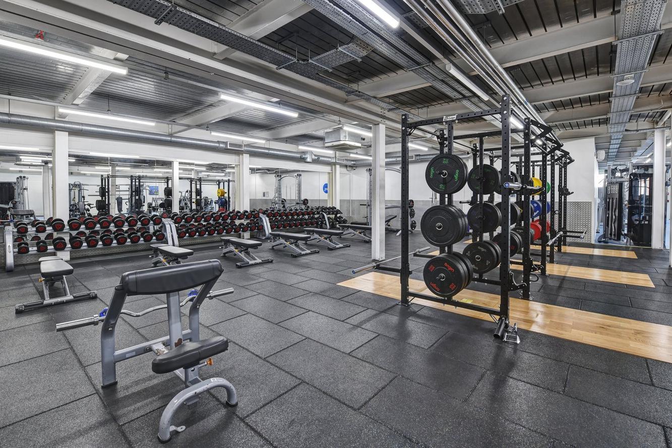 Free Weights Area
