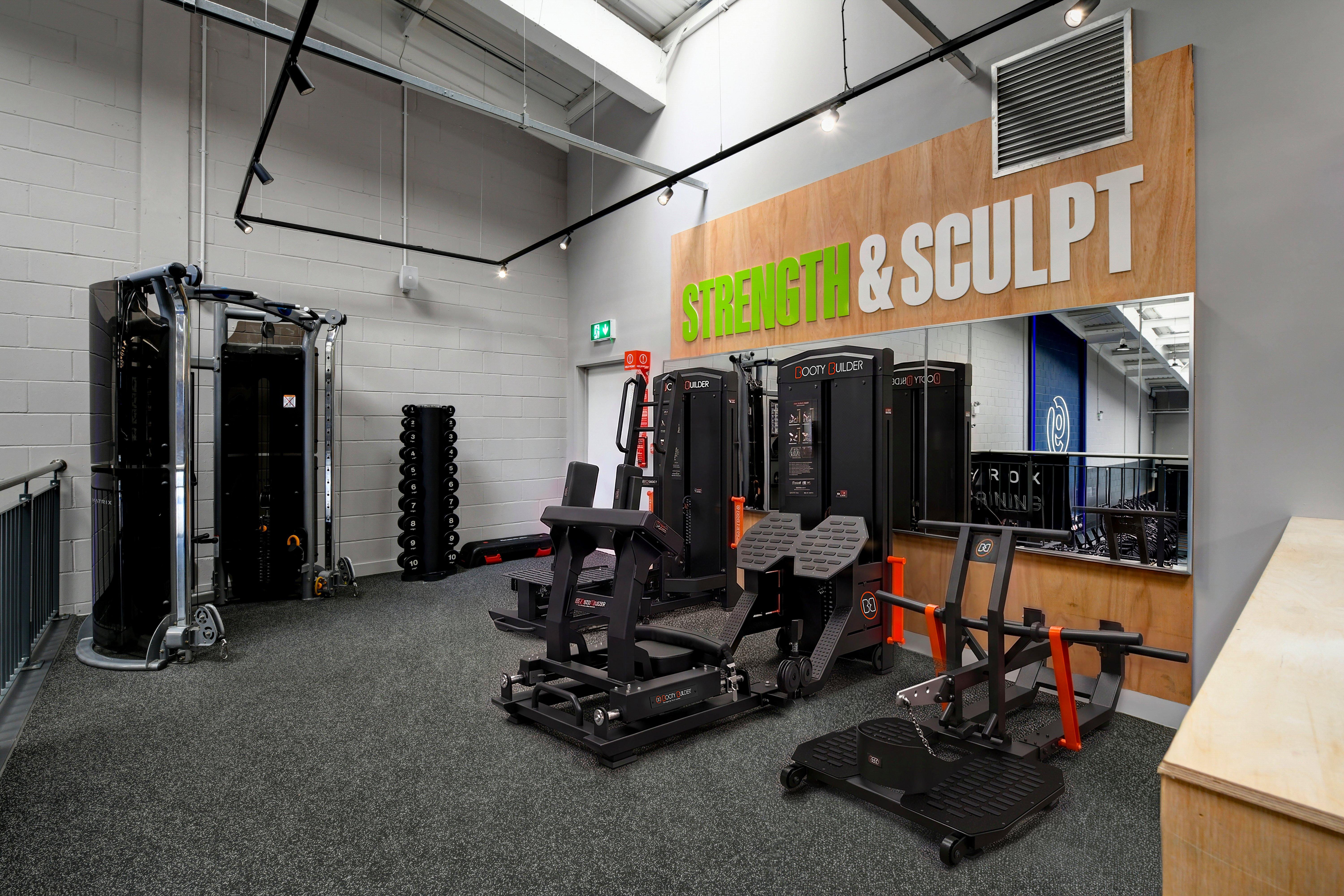 Strenght and sculpt area