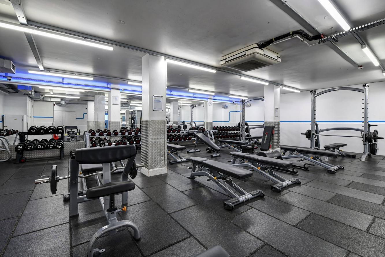 Free Weights Area