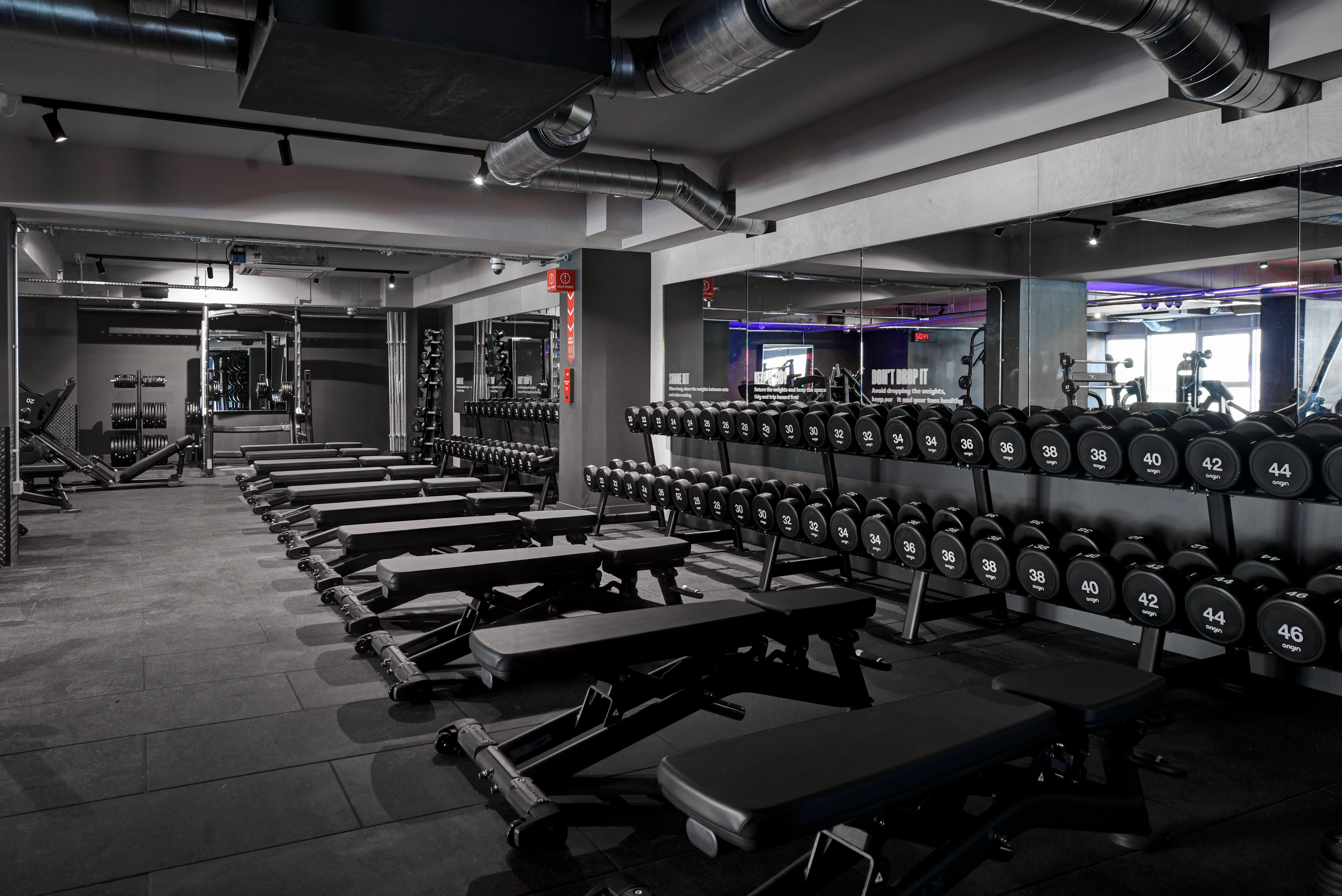 Free Weights Area