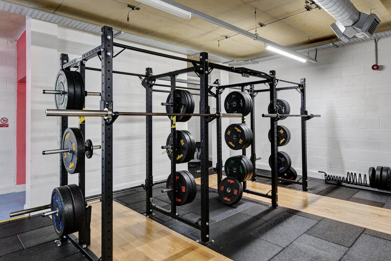 Free Weight Area
