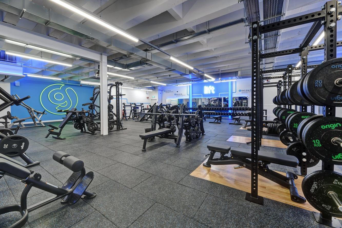 Free Weight Area