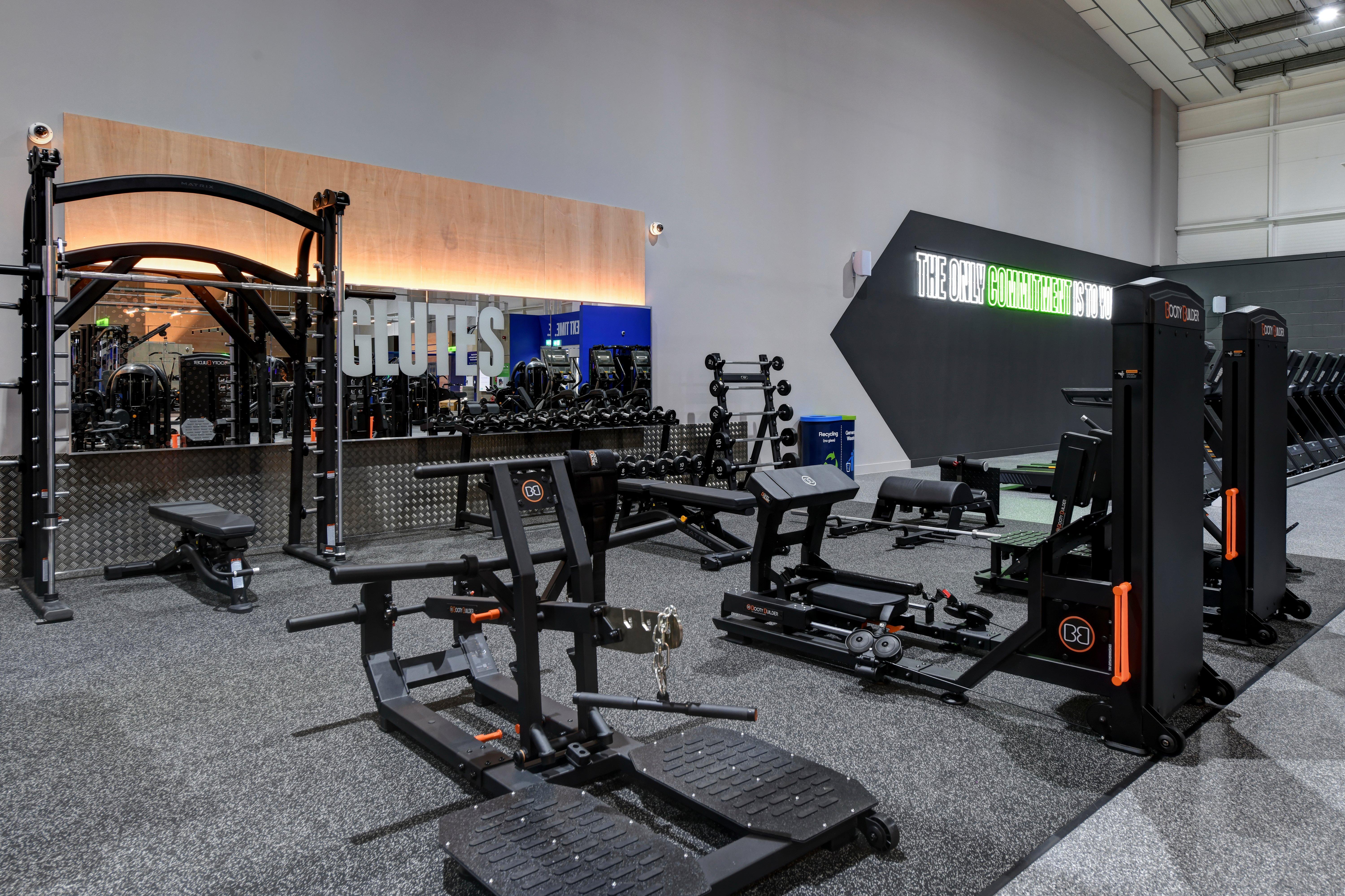 Glutes Area