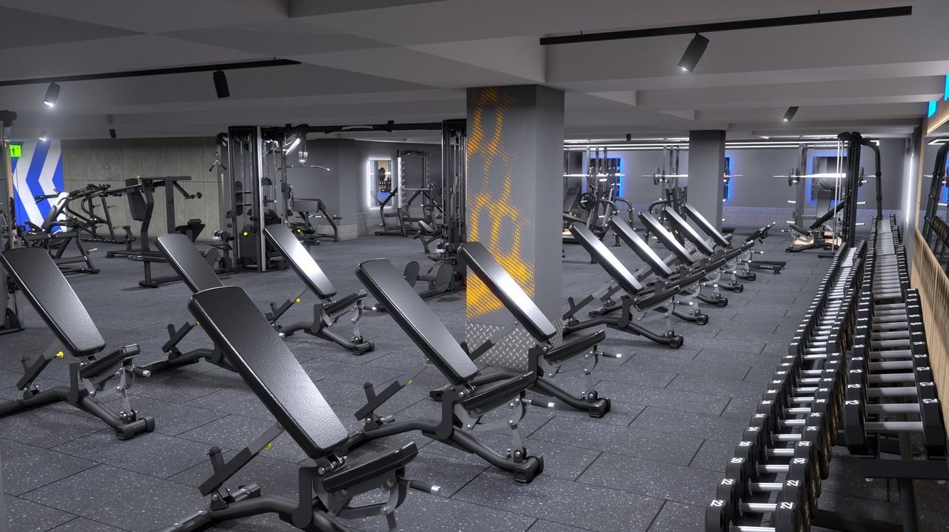 Free Weights Area Concept