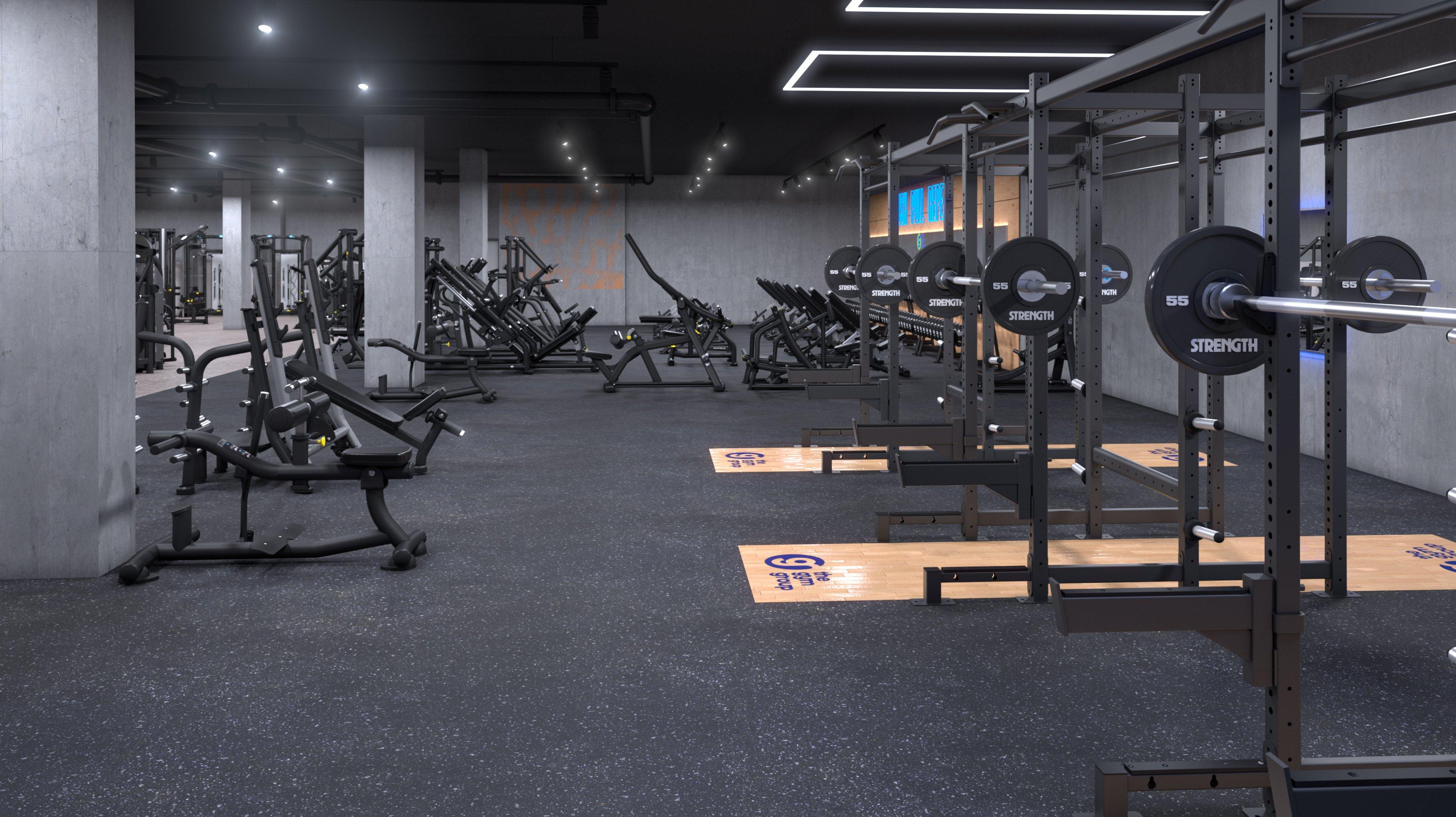 Free Weights Area Concept