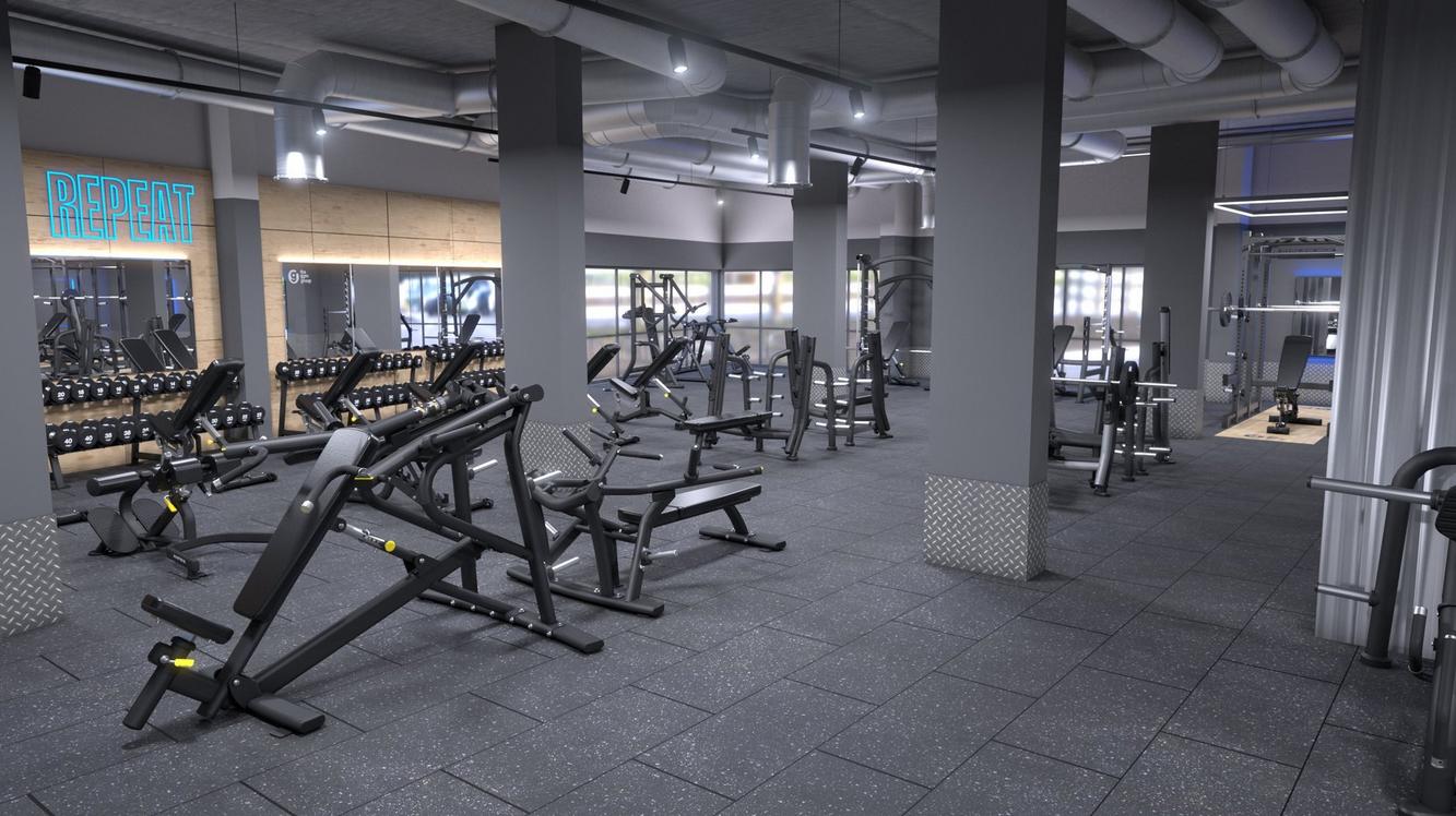 Free Weights Area Concept