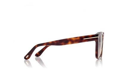 TOM FORD OM TORTOISE HAYLAY SUNGLASSES