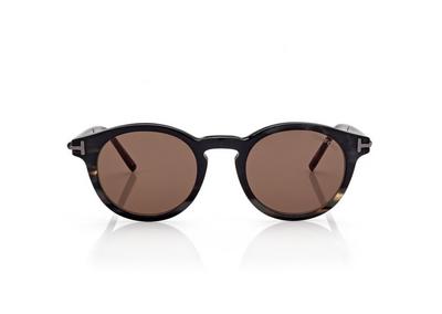 ROUND HORN AND TITANIUM SUNGLASSES image number 0