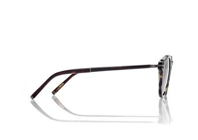 ROUND HORN AND TITANIUM SUNGLASSES image number 2
