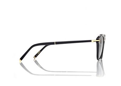 ROUND HORN AND TITANIUM SUNGLASSES image number 2