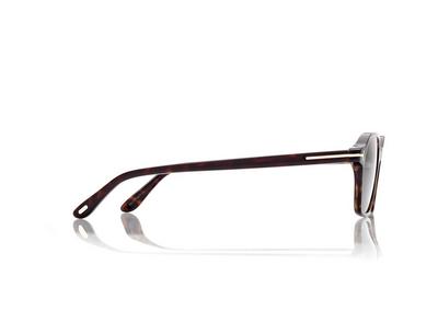 TOM FORD OM DARK HAVANA / SMOKE JOEY SUNGLASSES