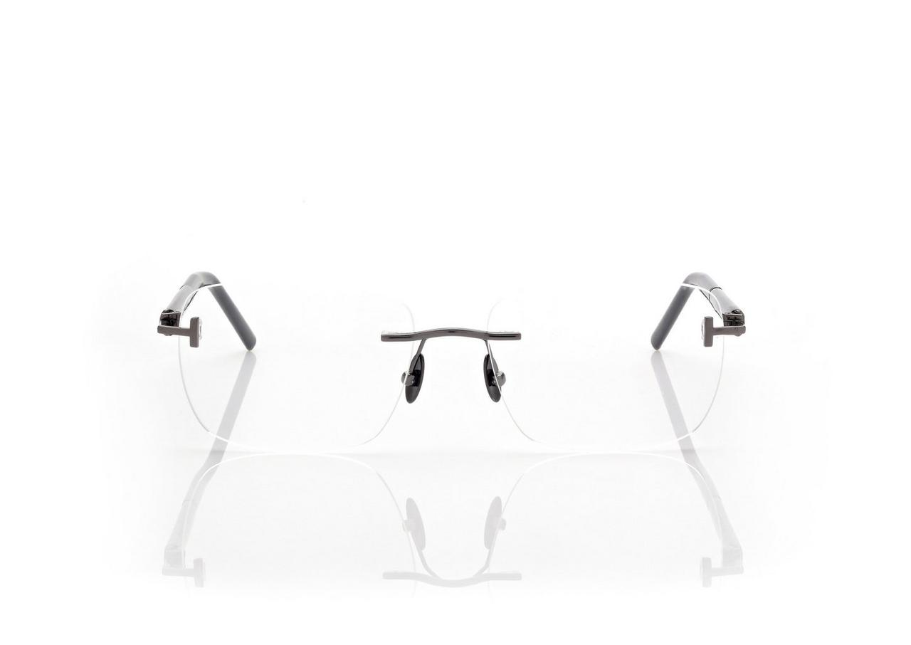 HORN AND TITANIUM RECTANGULAR OPTICALS image number 0