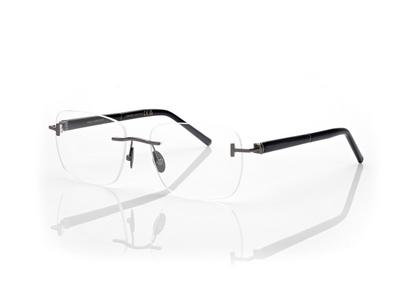 HORN AND TITANIUM RECTANGULAR OPTICALS image number 1