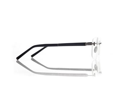 HORN AND TITANIUM RECTANGULAR OPTICALS image number 2