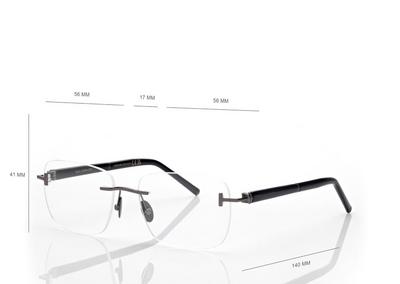 HORN AND TITANIUM RECTANGULAR OPTICALS image number 3