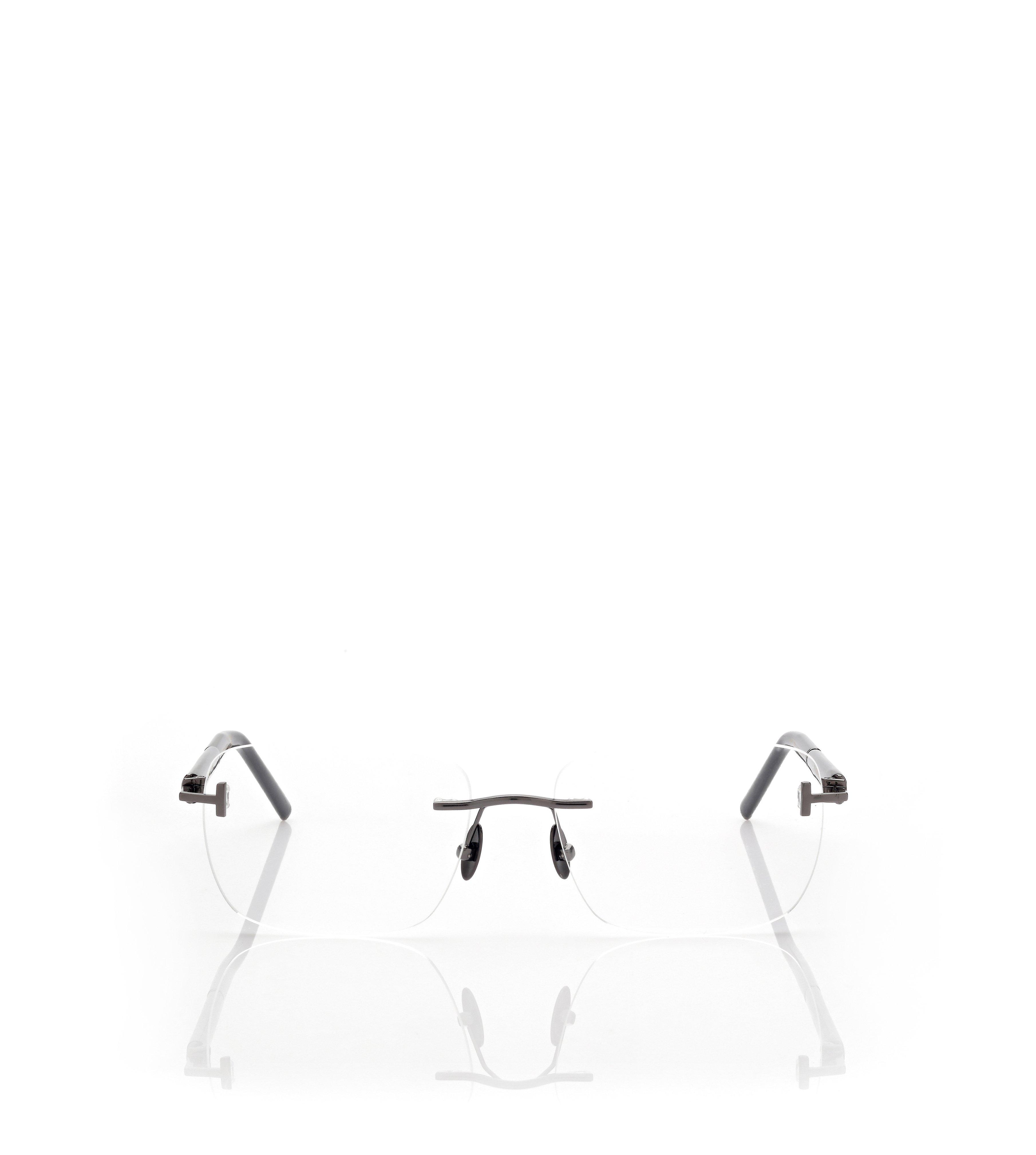 HORN AND TITANIUM RECTANGULAR OPTICALS