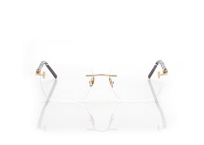 HORN AND TITANIUM RECTANGULAR OPTICALS image number 0