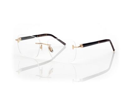 HORN AND TITANIUM RECTANGULAR OPTICALS image number 1