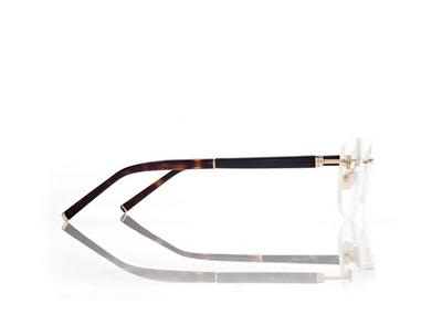 HORN AND TITANIUM RECTANGULAR OPTICALS image number 2