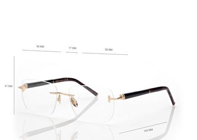HORN AND TITANIUM RECTANGULAR OPTICALS image number 3