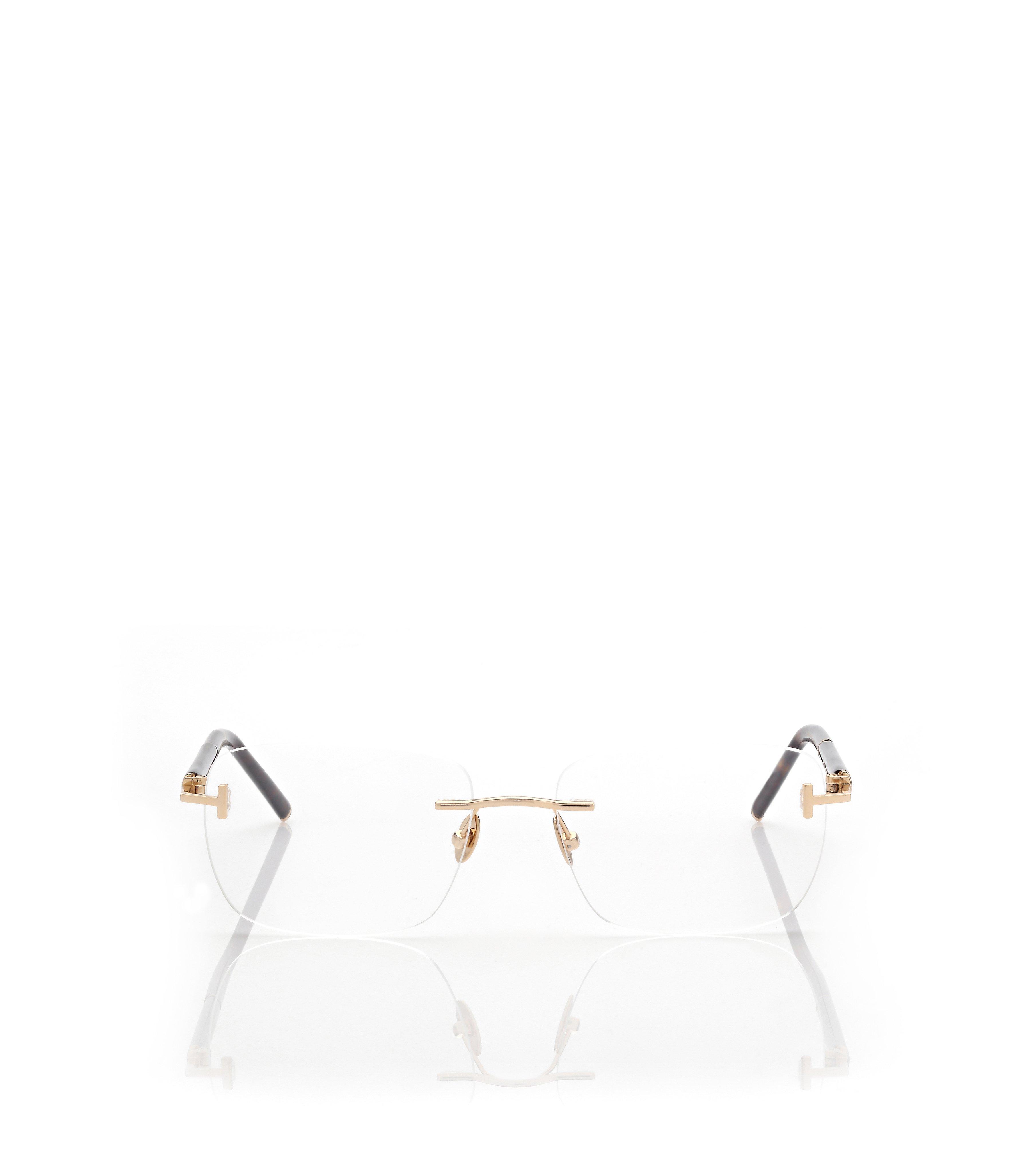HORN AND TITANIUM RECTANGULAR OPTICALS