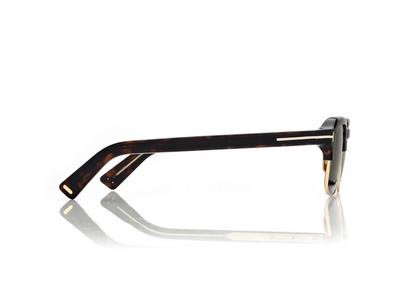 TOM FORD  DARK HAVANA ICON BROWLINE SUNGLASSES