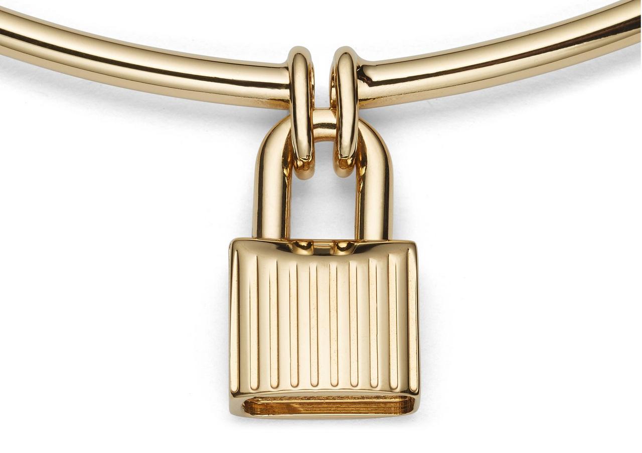 PADLOCK CHOKER image number 1