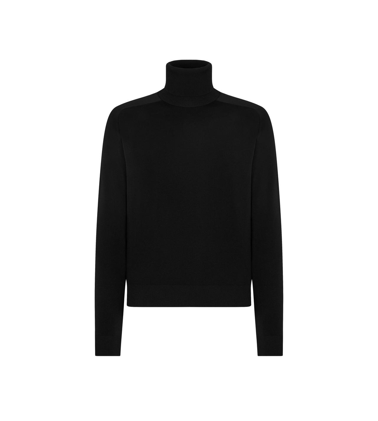 SILK DOUBLE FACE ROLL NECK image number 0
