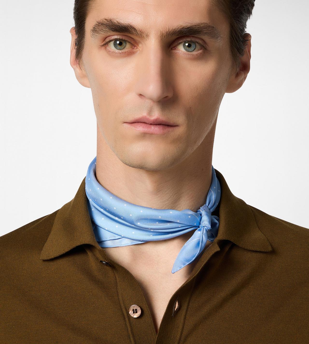 POLKA DOT POCKET SQUARE image number 2