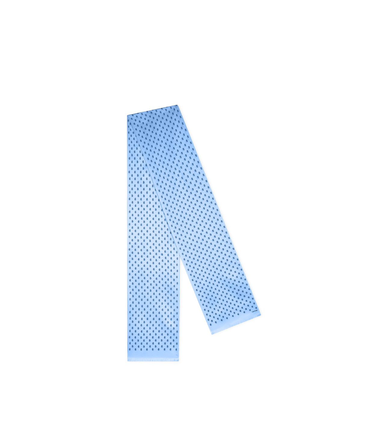 PAISLEY SCARF image number 1