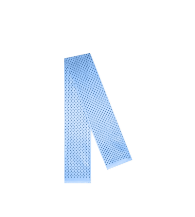 PAISLEY SCARF image number 1