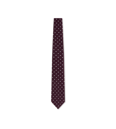 SATIN POLKA DOT TIE image number 0