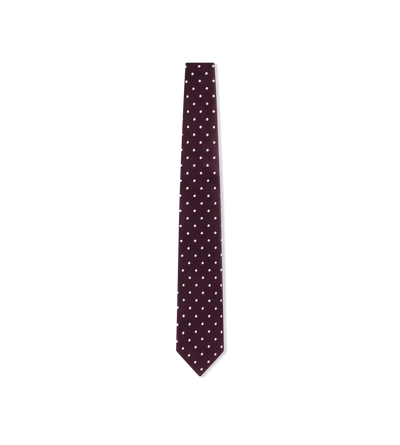 SATIN POLKA DOT TIE image number 0