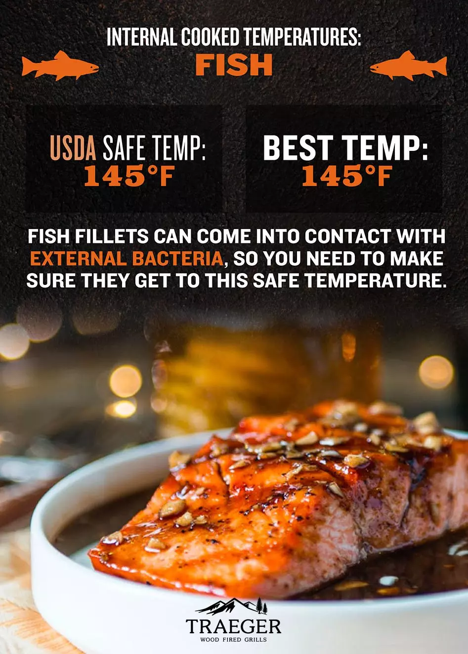 Safe Internal Temperatures for Meat Traeger Grills