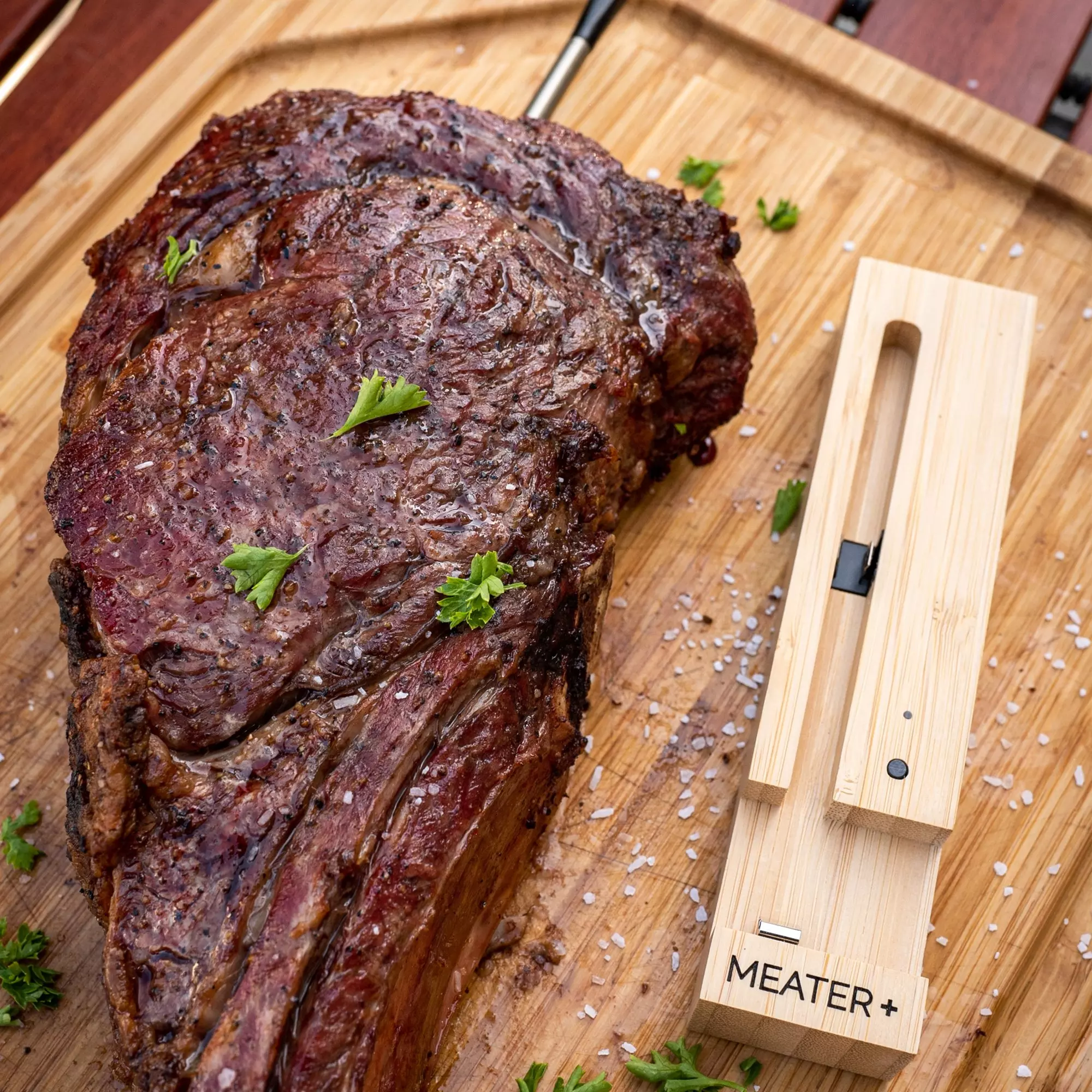 Traeger Thermometer Review and Rundown! • Smoked Meat Sunday