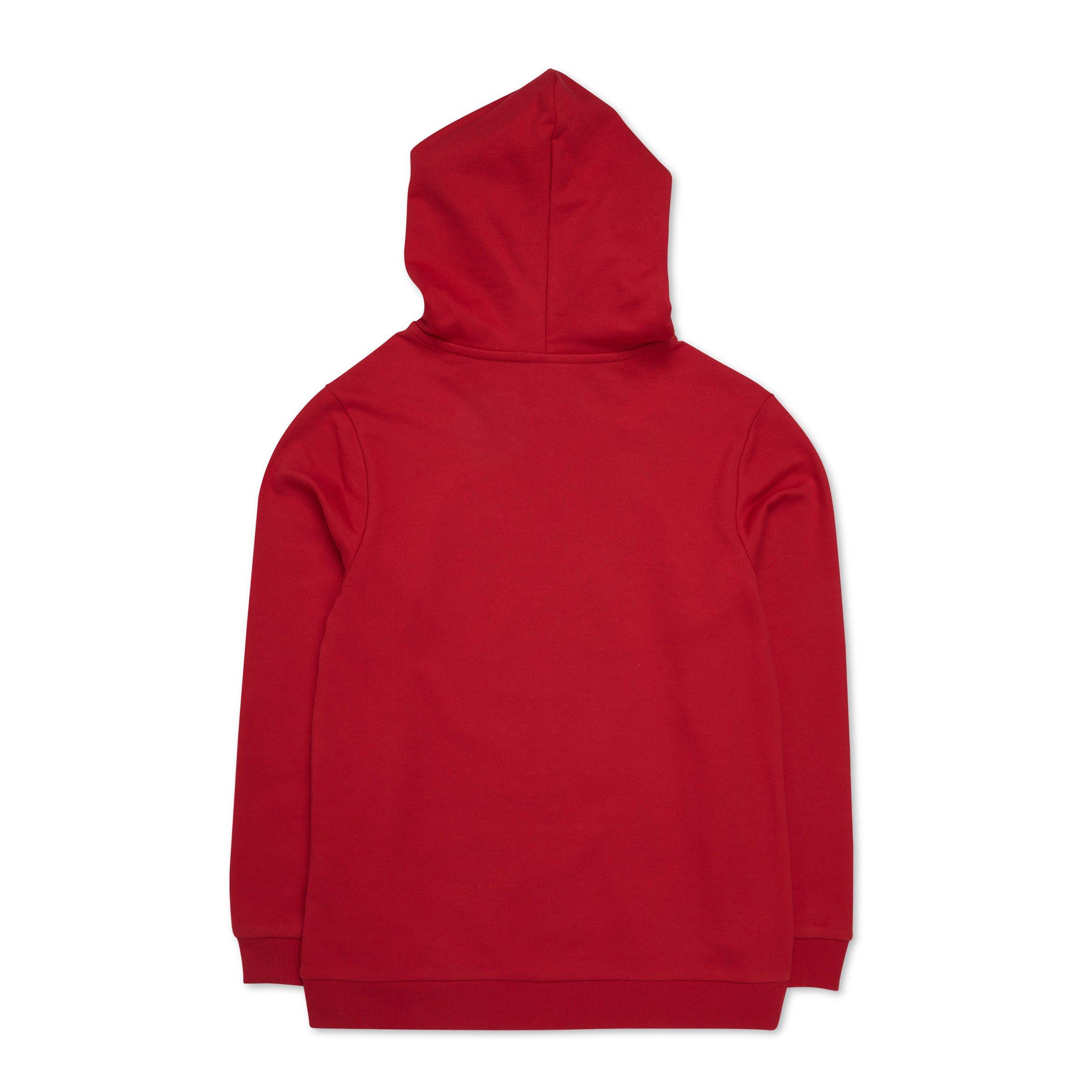 Boys on sale red hoodie