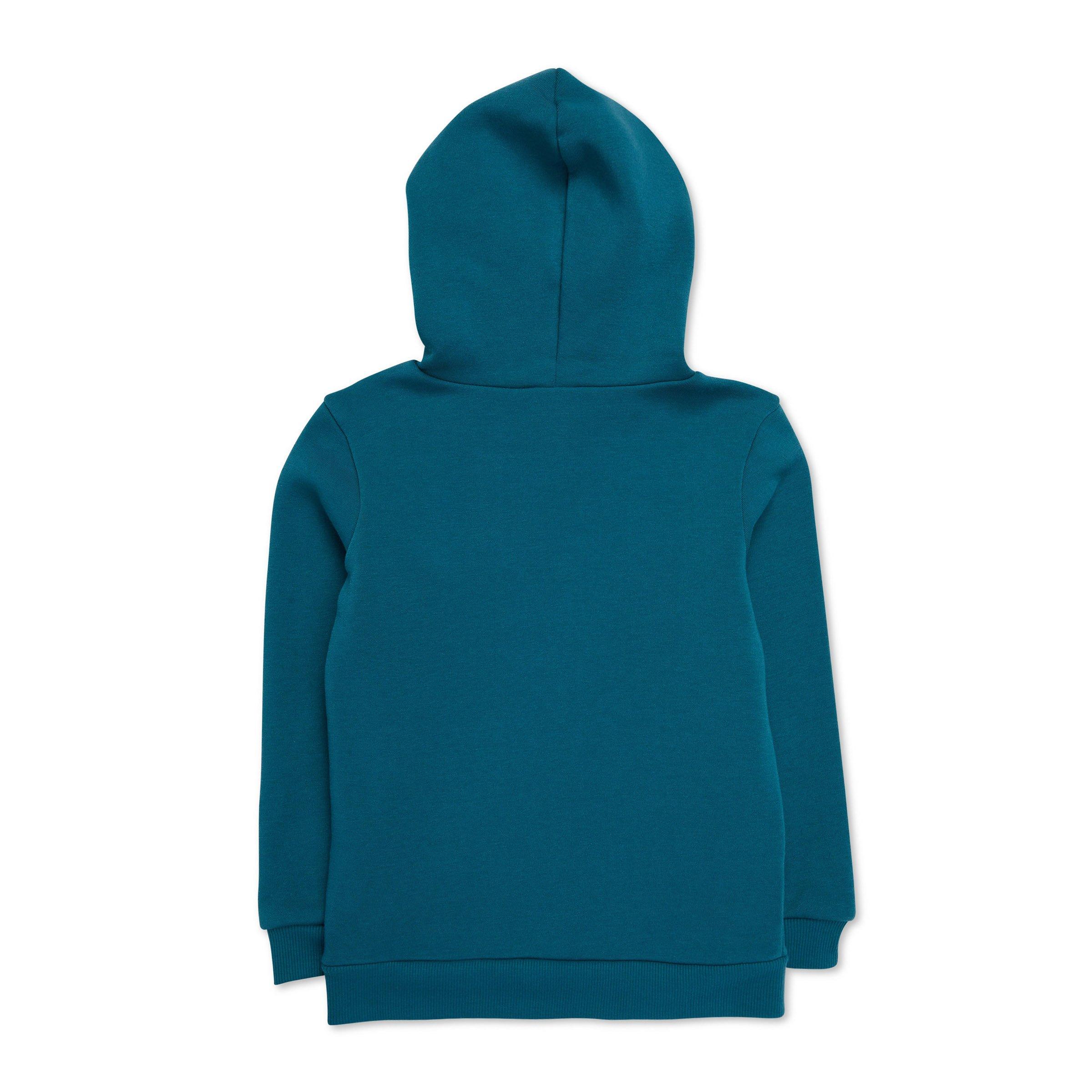 Plain cheap teal hoodie