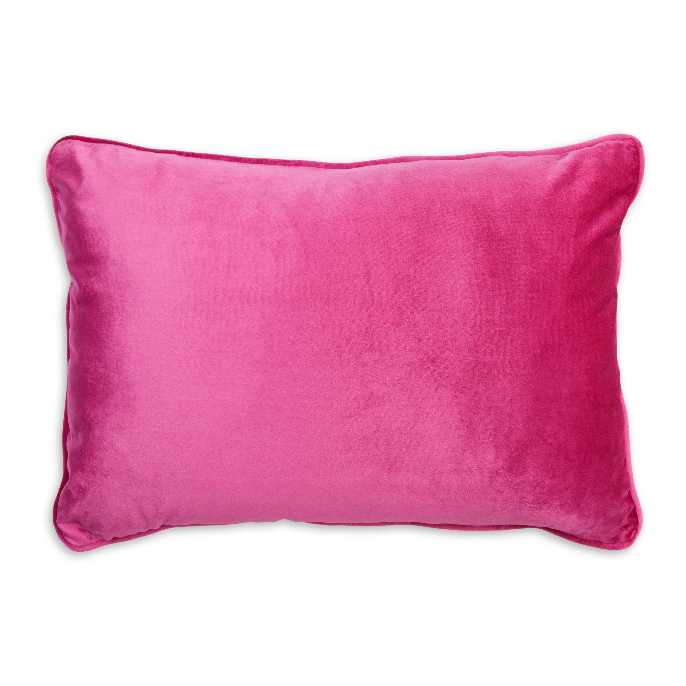 Velvet Pink Scatter Cushion 3100109 Loads of Living