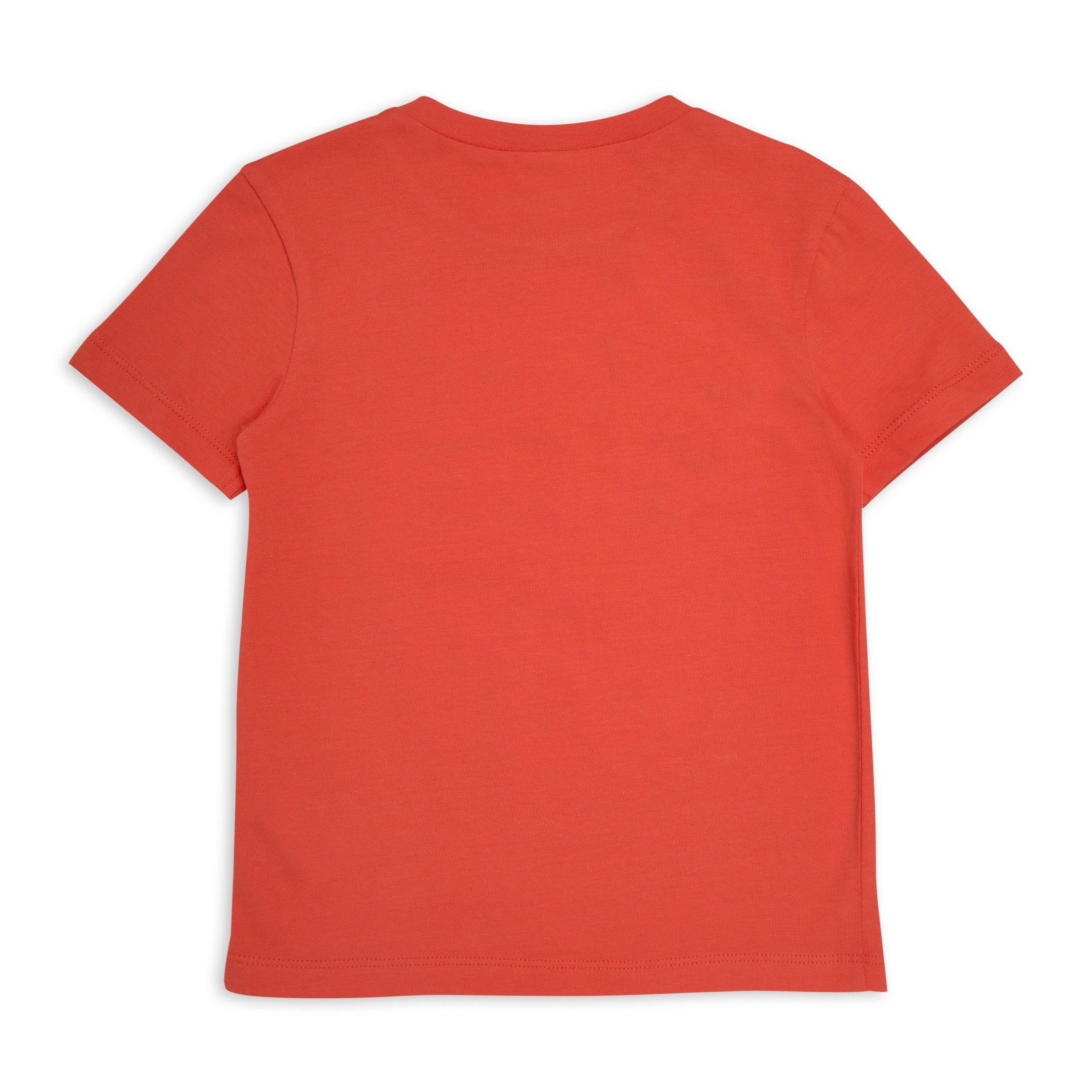 Boys Orange T-shirt (3151918) | Identity