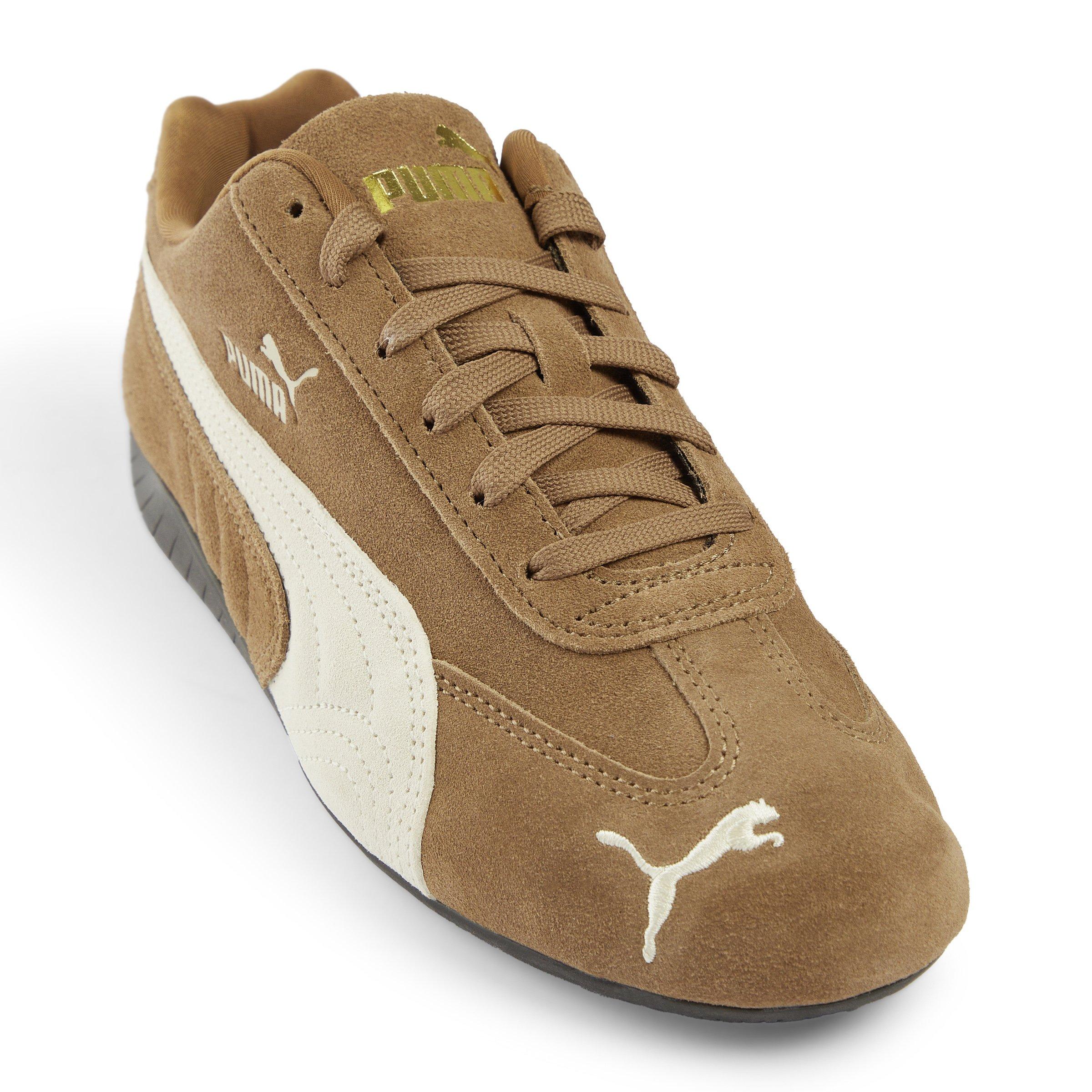 motto_kuma special SESSION. CAMEL キャメル motto_kuma special SESSION. CAMEL キャメル