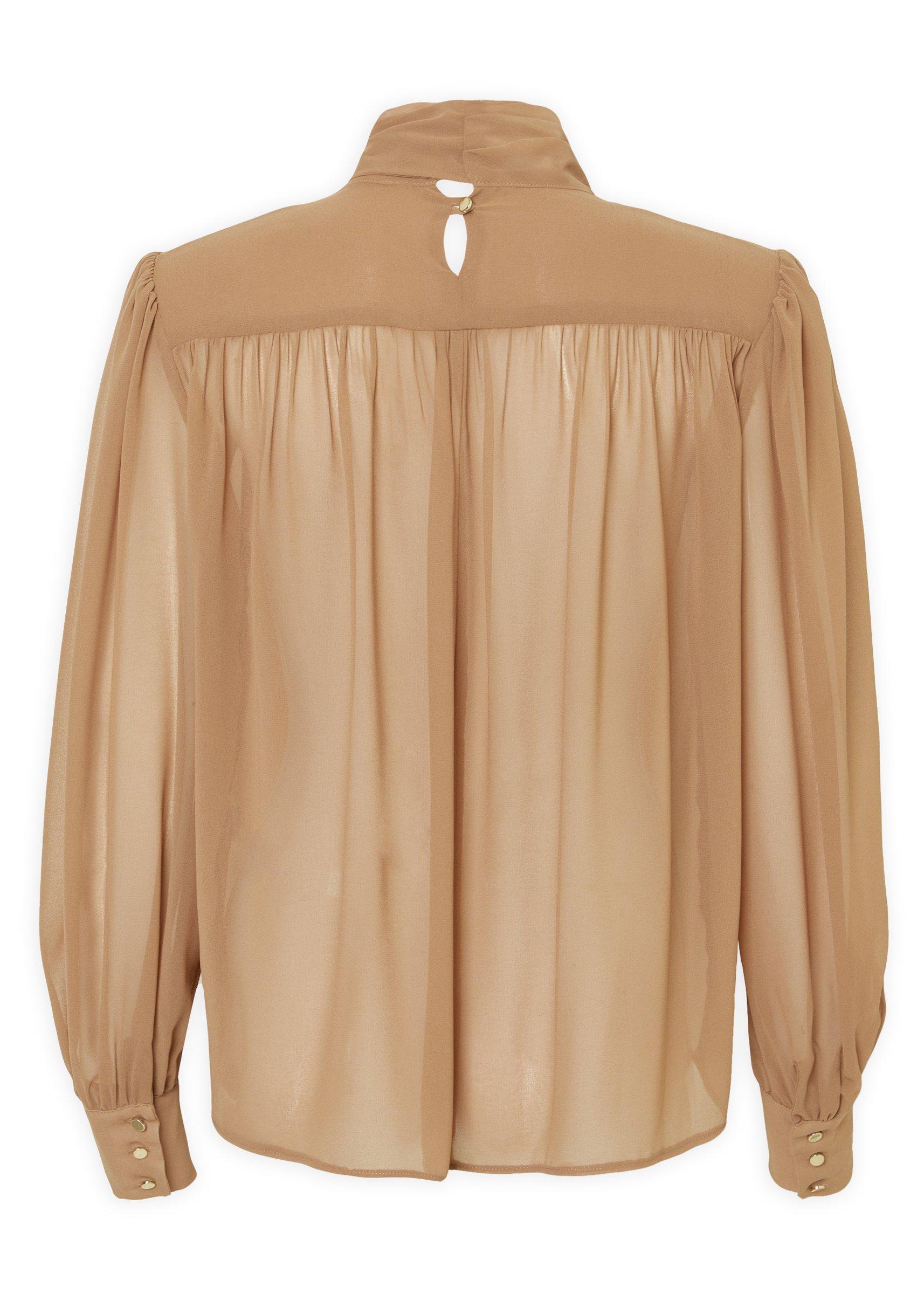 Beige Chiffon Tie-Neck Sheer Blouse (3234181) | Truworths