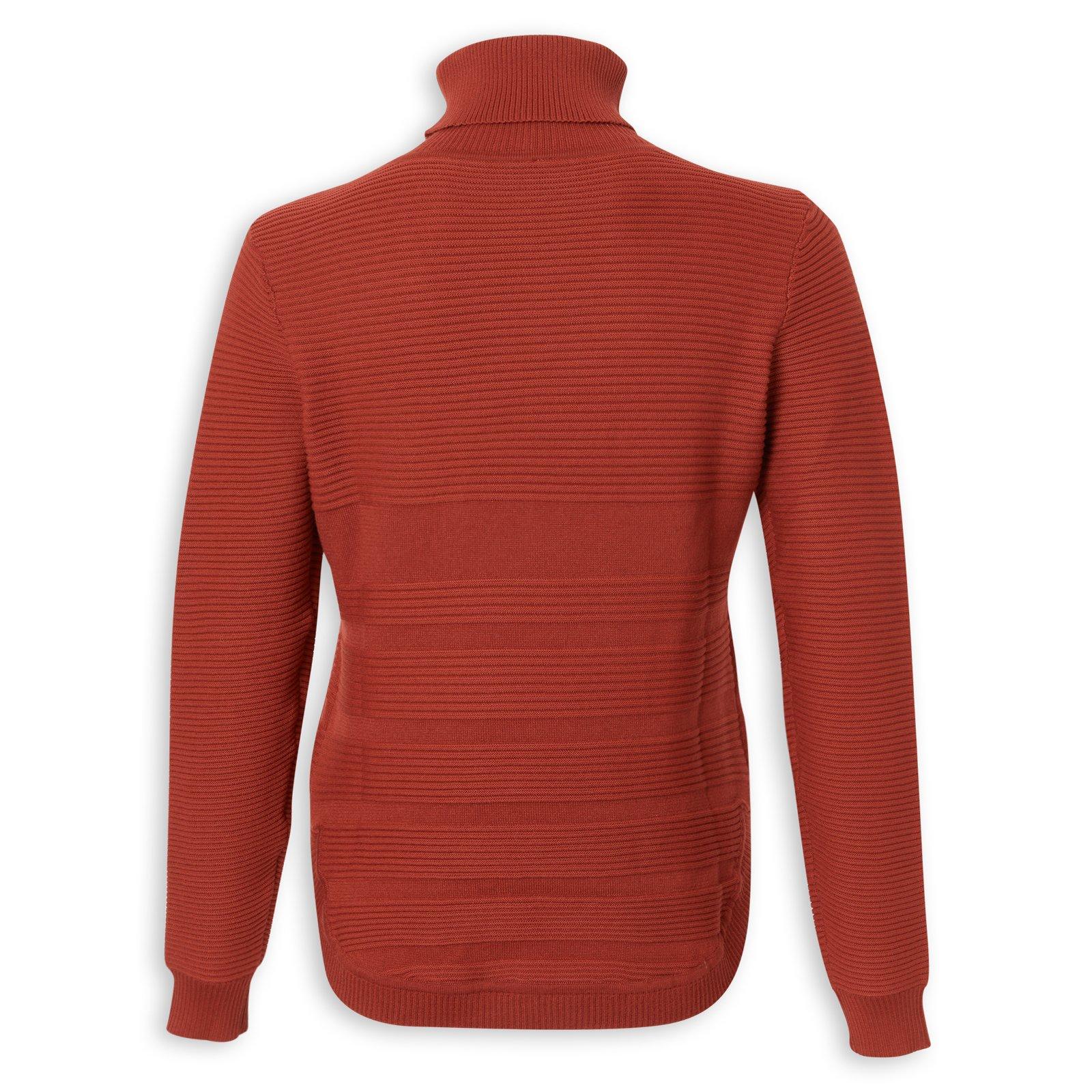 Rust Poloneck Curved Hem Top (3235969) | Identity