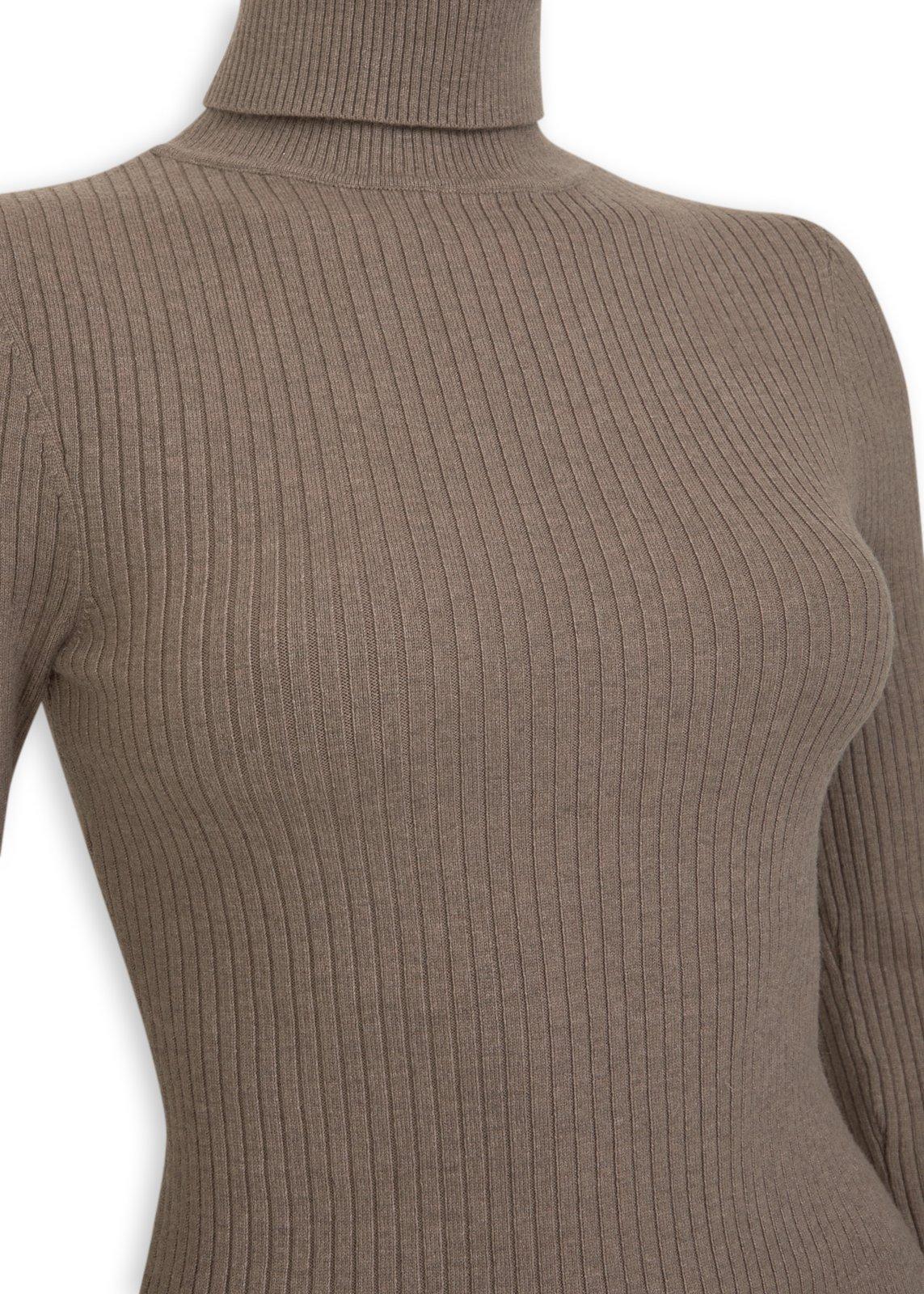 Brown Nylon Poloneck Top (3236710) | Outback Red