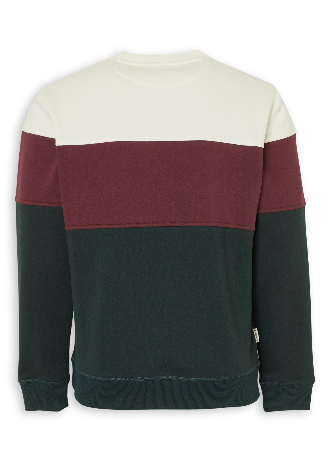 Green Panelled Sweatshirt (3239295) | Truworths Man