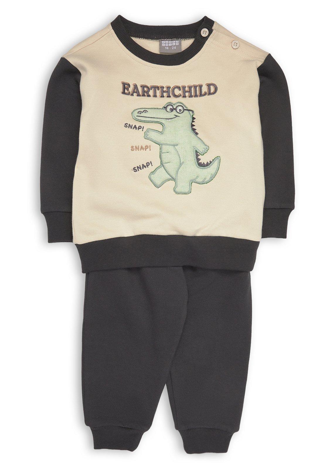 Baby Boys Sweatshirt and Jogger Set (3250526) | Earthchild